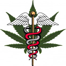Michigan Medical Marihuana Review Panel Recommends PTSD As Qualifying Condition