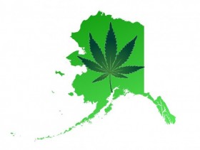 Alaska: Election Officials Postpone Marijuana Legalization Vote to November