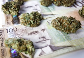Canada’s New Marijuana Laws Set Stage for Growth