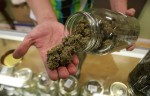 Feds OK Pot Background Checks by Washington State