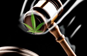 Five Medical Marijuana Patients From Washington State Proceed to Trial in Federal Court