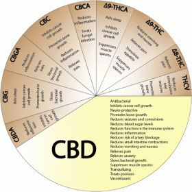 More States Move Forward With CBD-Only Measures, But Will They Help Patients?