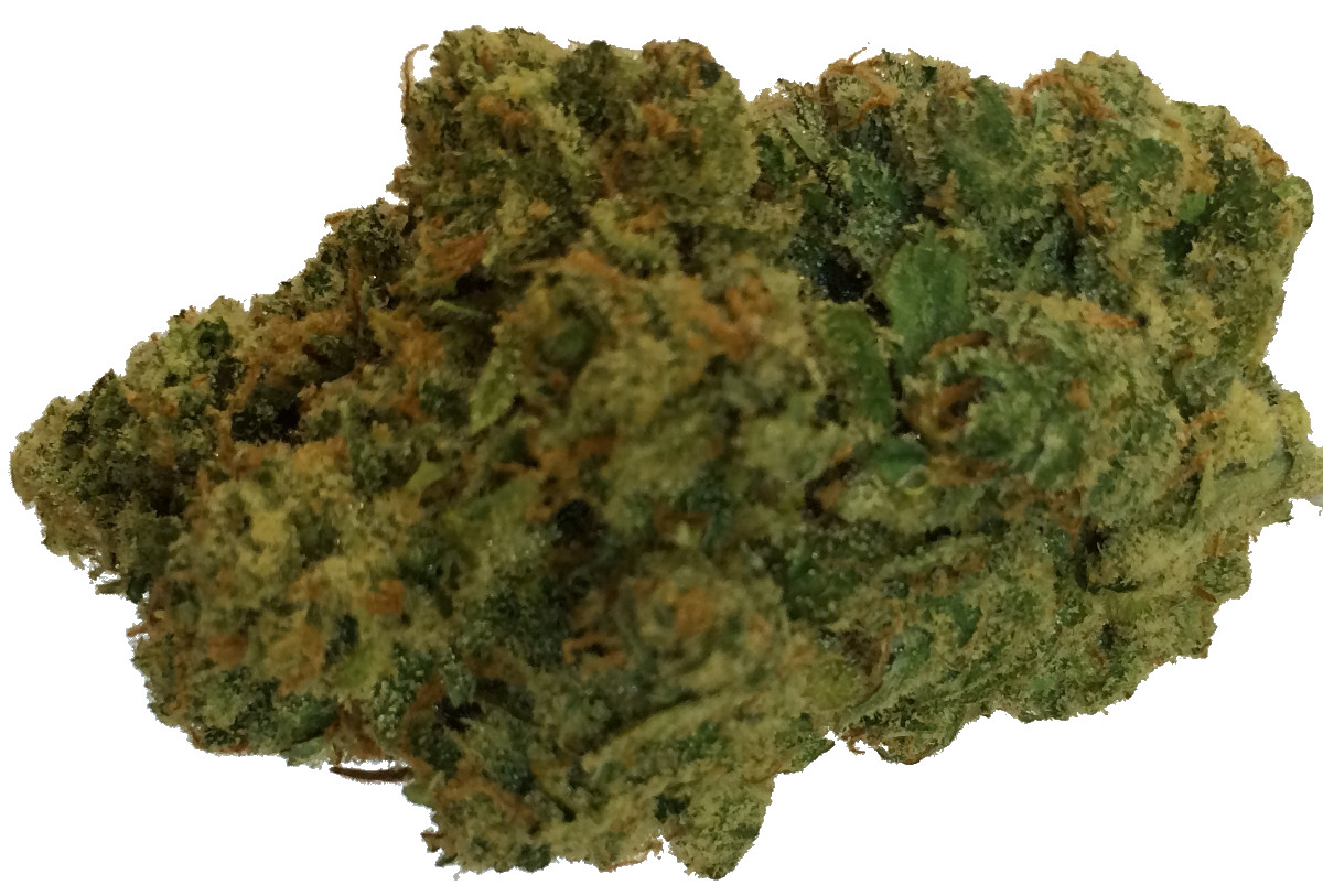 My Favorite Strains Jack Herer Weedist