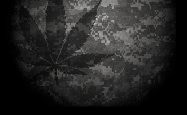 Acting Right Operation Grow4Vets, Source: https://lh6.ggpht.com/qq7vm1RTa2jQwka0eAYOb5XGg7hqyyLx29rUn5IIqBcWecmaFjneYy6equhr9rIJfRxADMs=s139
