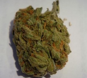 super tight nugs and very strong