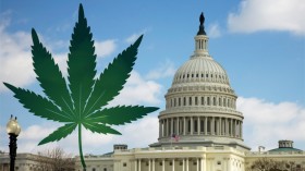 House to Vote on Budget Amendment to Defund Medical Marijuana Raids