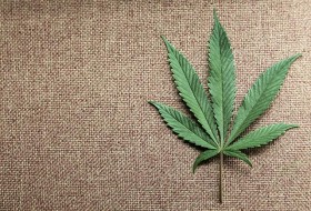 Minnesota Senate Passes Medical Pot Legislation