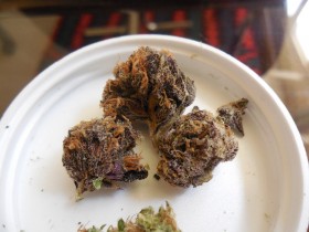 My Favorite Strains: Black Diamond