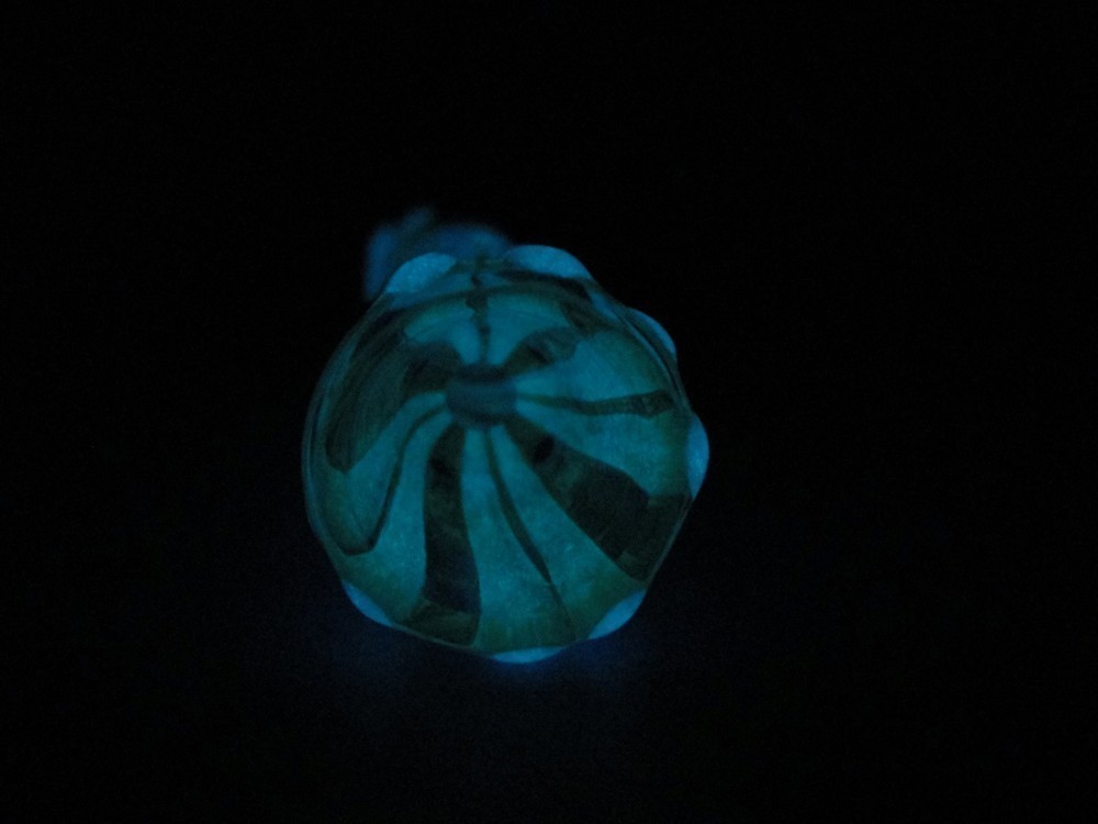 Glow in the Dark Chillum