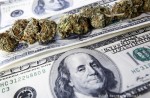 See How Much the Medical Marijuana Effort Has Raised in Florida