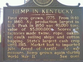 DEA Stands Down: Allows Kentucky to Go Forward With Hemp Planting