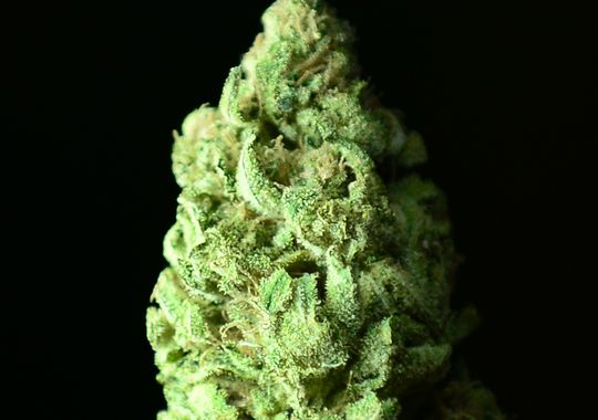 Playlist: J-27, The Soaring Sativa Introspective Mix, Source: https://lh6.ggpht.com/16nJsAhPwnoOvvVkONomu7EKuIOHkJ7GrQdsXl5_J4yrF3E6_10pECfIPYR7nsAfOJF7xQ=s121