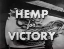 A Brief History of Hemp in Colonial America