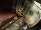 Colorado Recreational Marijuana Sales, Taxes Boomed in April