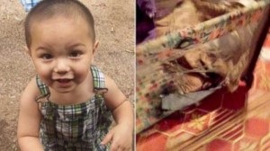 SWAT Raid Burns Hole In Toddler, Source: 
