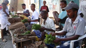 UK Bans Khat (Herb Safer Than Tobacco), Source: http://www.bet.com/content/betcom/news/global/2013/11/27/kenya-lobbies-uk-not-to-ban-khat/_jcr_content/featuredMedia/newsitemimage.custom1200x675x20.dimg/112713-global-kenya-khat-market-ban.jpg