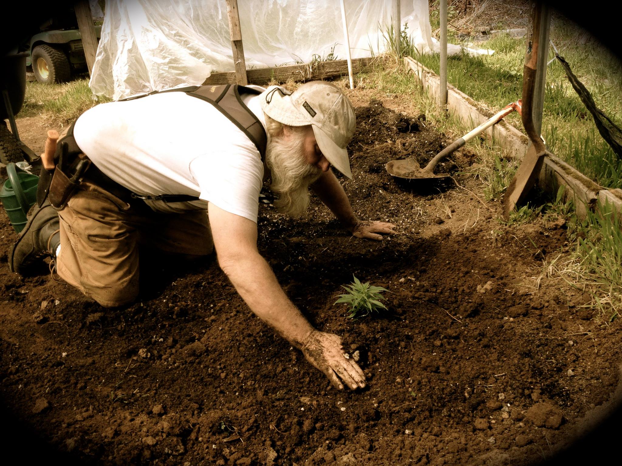 My Visit to A Legal Cannabis Farm - Weedist