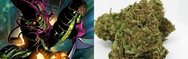 Five Strains for Marvel & D.C. Fans, Source: http://static.comicvine.com/uploads/original/11114/111140972/3552195-0758331169-green.jpg & http://www.thevarietymmd.com/images/menu_strains_mmd/large/Green_Goblin.jpg