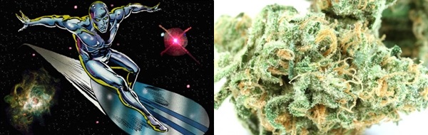 Five Strains for Marvel & D.C. Fans, Source: http://ih.constantcontact.com/fs167/1103470437990/img/10514.jpg?a=1115678373175 & http://1.bp.blogspot.com/-qCKchPDdqqQ/UNL5dHvA48I/AAAAAAAAEb8/HP1ATzJ8g5c/s1600/uh559351257158145SilverSurferGalaxySafari.jpg