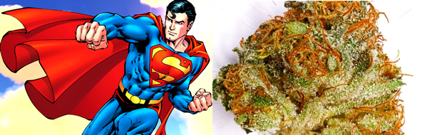 Five Strains for Marvel & D.C. Fans, Source: http://static.comicvine.com/uploads/original/11111/111113523/3605753-1936874063-31646.png & http://budgenius.com/photo/01ed6f_1468be567e308bd8e80246aa60b309f8/126319_dry_1.jpg