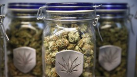 Five of the Best & Worst Strain Names