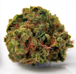 Four Strains for the Grateful Dead Fan, Source: http://i1004.photobucket.com/albums/af169/capturetheflag/DeadheadOG_TS.jpg