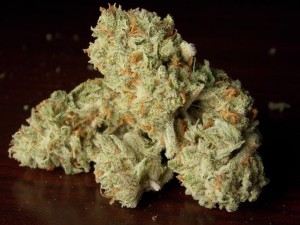 Four Strains for the Grateful Dead Fan, Source: http://i1266.photobucket.com/albums/jj533/The-Gu/New%20library/DSCN2797_zps3e6a5084.jpg
