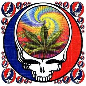 Four Strains for the Grateful Dead Fan