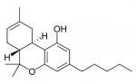 Scientists to Produce THC in Yeast