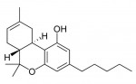 Scientists to Produce THC in Yeast