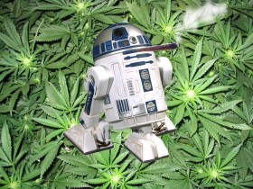 Seven Strains for the Star Wars Fan