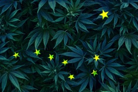 Public Debate of Ballot Measure 2 Will Help Alaskans Weigh Marijuana Legalization