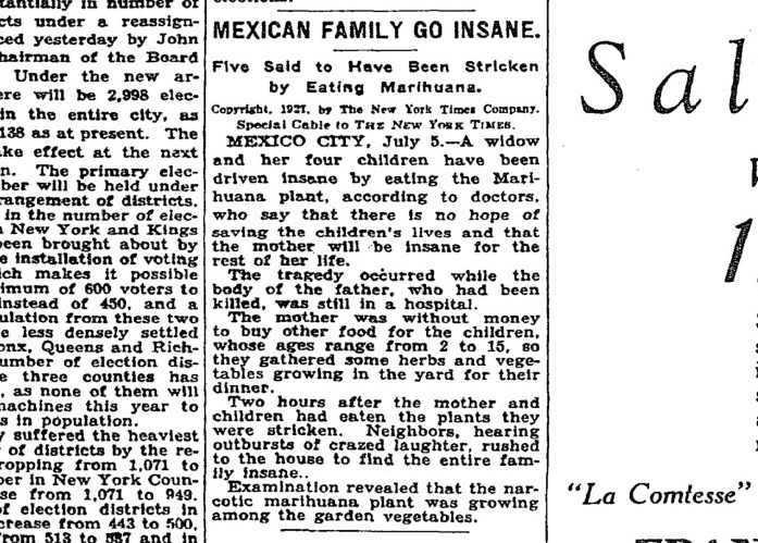 Title: NY Times Supports Cannabis, Forgets It's Prohibition Past, Source:http://blogs-images.forbes.com/jacobsullum/files/2014/08/mexican-family-go-insane.jpg