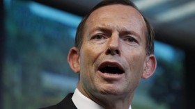 Australian Prime Minister Backs Legalization of Medical Cannabis