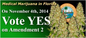 Poll: Sixty-Four Percent of Florida Voters Back Constitutional Amendment to Legalize Medical Marijuana