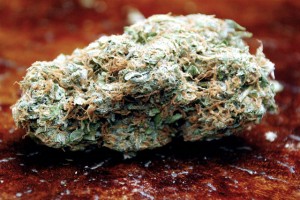 2014 Washington Cannabis Cup: Welcome Home Out-of-Towners, Source: http://weedsmokersguide.com/pictures/Super-Silver-Haze-Nug.jpg