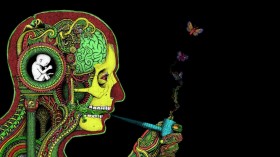 Cannabis Consumption Helps With Brain Trauma