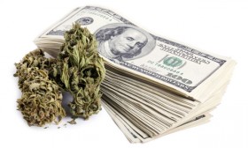 Dollars, Chasing Cannabis Profits, Leave US