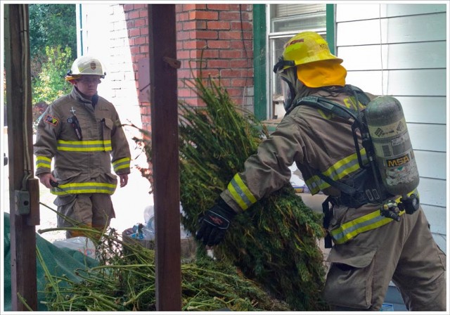 Humboldt Firefighters Heroically Save Helpless Weed From Burning Building, Source: http://lostcoastoutpost.com/2014/oct/15/fireman-save-marijuana-harvest/