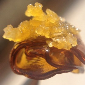 Instafire: ‘Dab Wars’ Lemon Tangie Double Dab