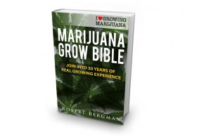 Book Review: Marijuana Grow Bible, by Robert Bergman