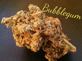 My Favorite Strains: Bubblegum