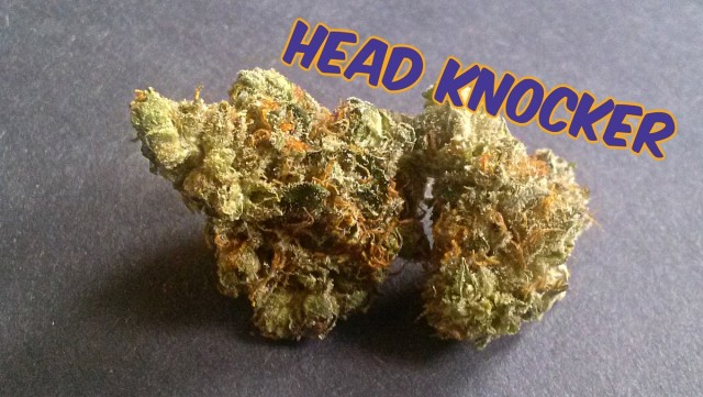 My Favorite Strains: Head Knocker, Source: Original Photography by Phe Harpha