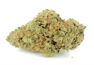 My Favorite Strains: Larry OG, Source: https://swamis420.files.wordpress.com/2012/10/larry_og.jpg