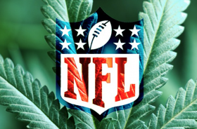 NFL and Cannabis: Quasi-Freepass and Why Players Use MJ