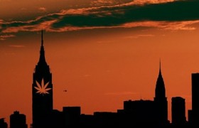 NYPD Begins Enforcing Less Severe Cannabis Policy