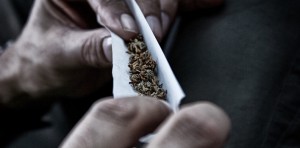 New Yorker Blames Pot Smoke for Ruining Her Life - Weedist