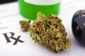 Licensing Mistakes Stall Massachusetts Medicinal Dispensaries