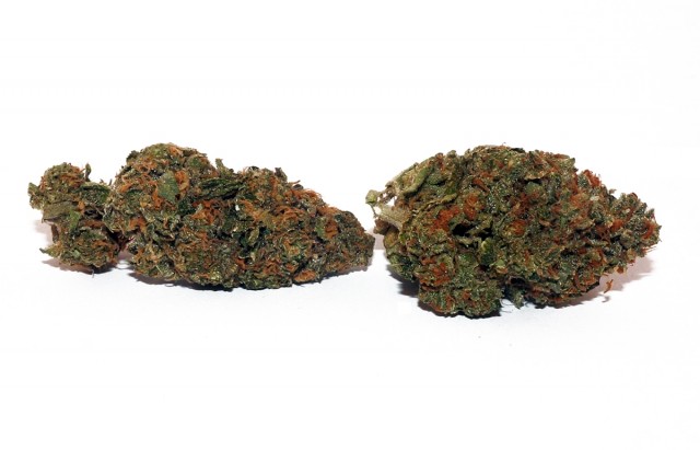 My Favorite Strains: Sherbet, Source: Redwood Garden Delivery, Bay Area, CA (@redwoodmeds)