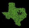 Popular Decriminalization Bill Filed in Texas